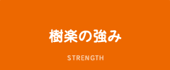 樹楽の強み